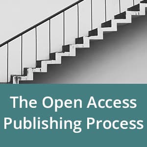The Open Access Publishing Process